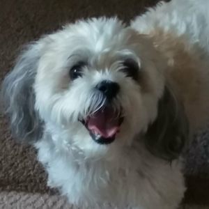 Meet your Posher, Lynn